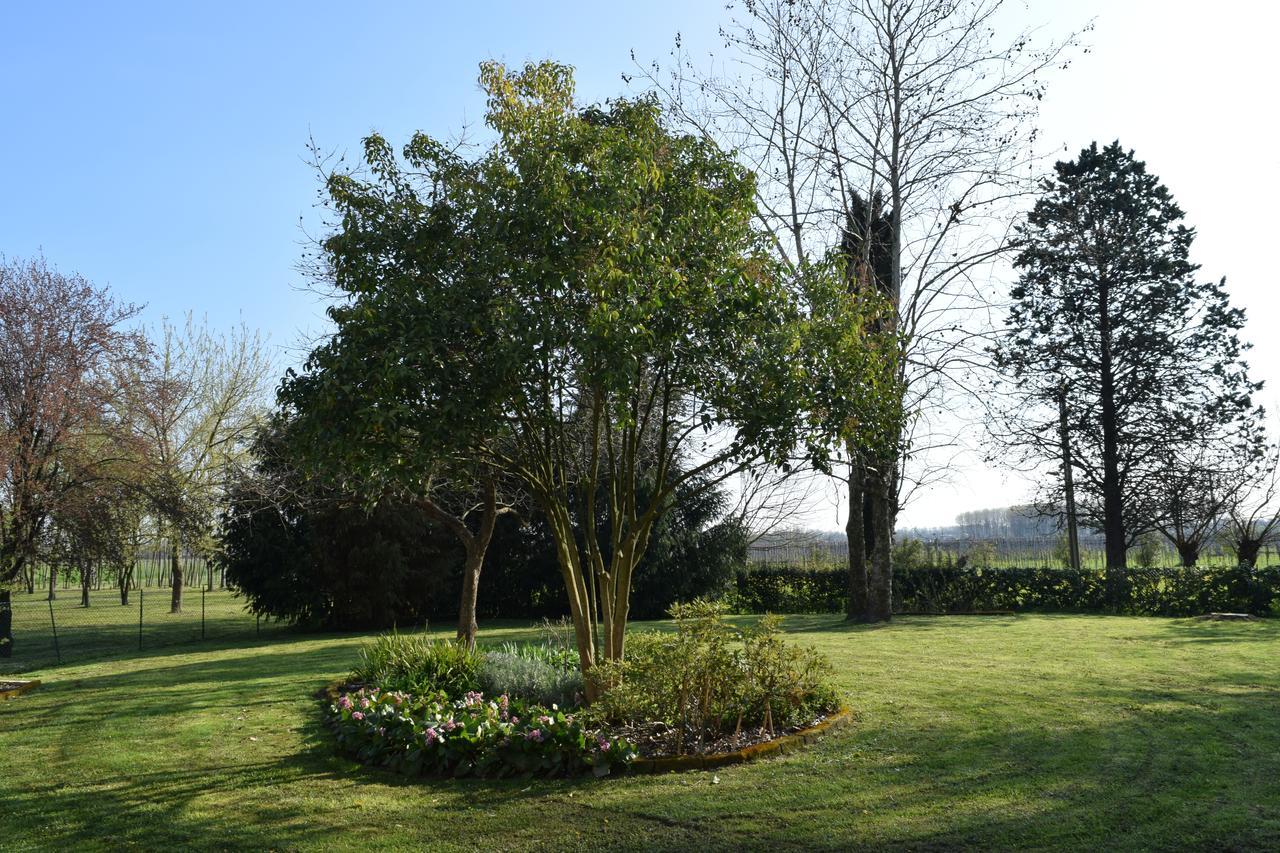Bed and Breakfast Al Vecchio Fienile San Michele al Tagliamento Esterno foto