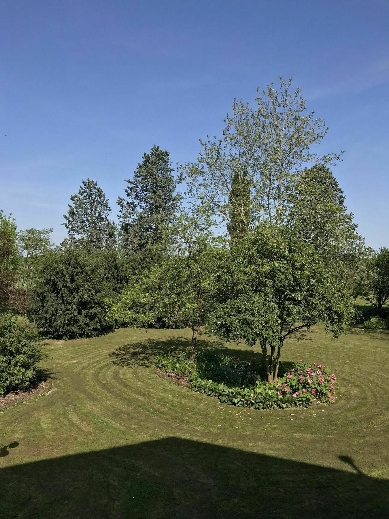 Bed and Breakfast Al Vecchio Fienile San Michele al Tagliamento Esterno foto